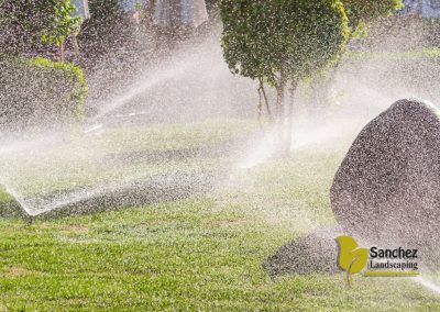 Irrigation and Yard Maintenance - Greensboro