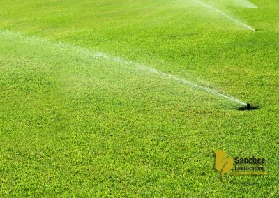 Commercial Irrigation Project - Greensboro