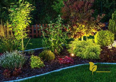 Landscape Design – Landscape Maintenance – Irrigation – Lighting – Greensboro